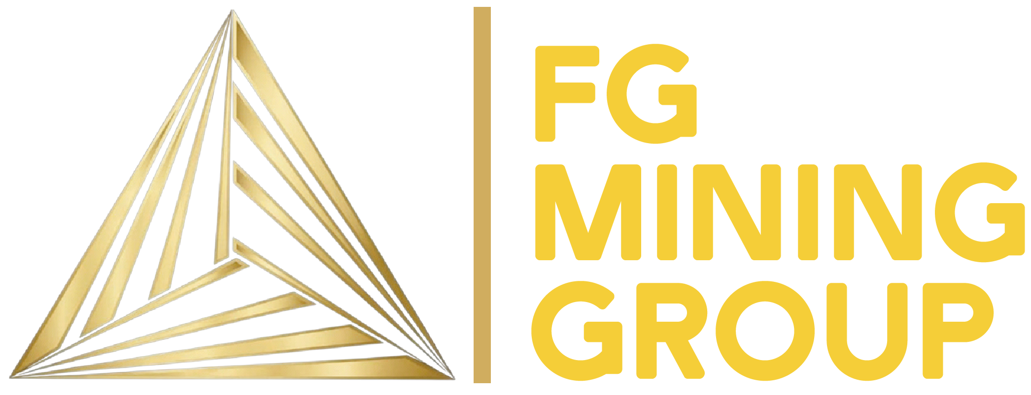 FG Mining Group